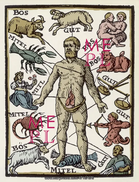 : Cosmic influences on the body : Cosmic influences on the body