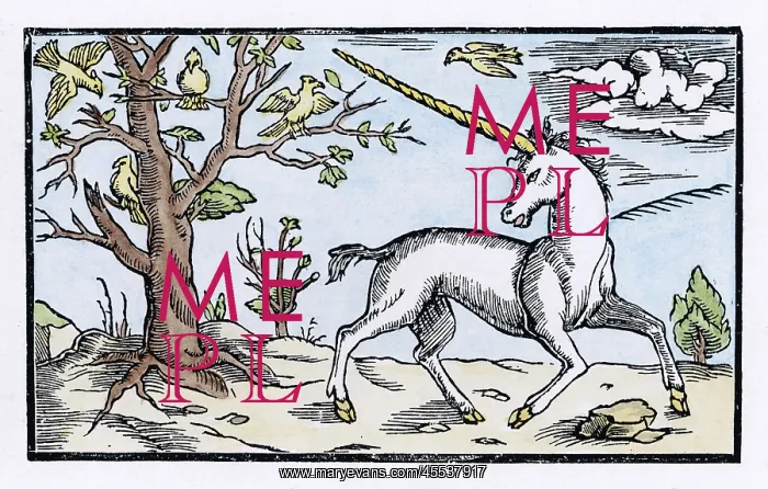  : Cosmographia Unicorn
