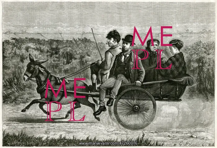: COSTER IN DONKEY CART : COSTER IN DONKEY CART