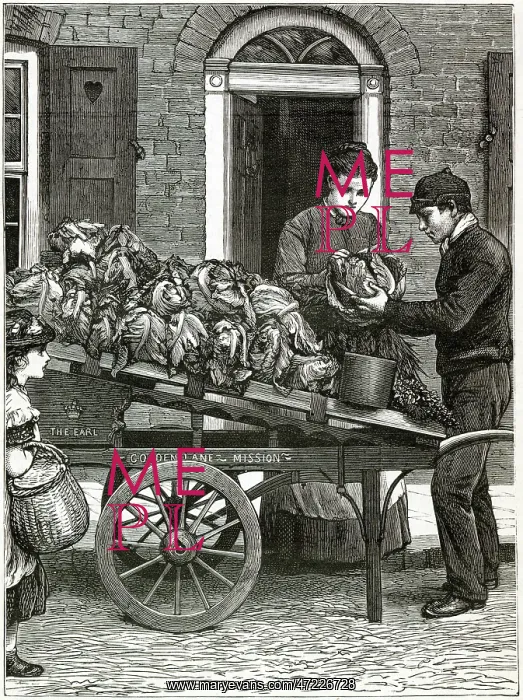 : Costermonger 1888 : Costermonger 1888