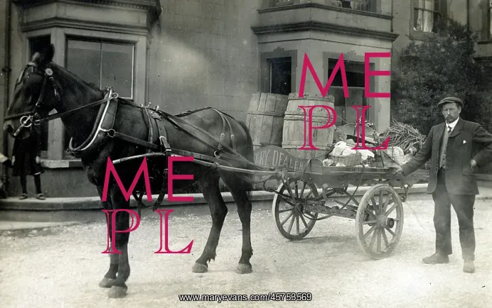: A Costermonger and his cart : A Costermonger and his cart