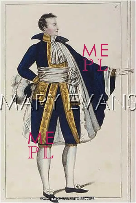 : COSTUME / FRENCH SENATOR : COSTUME / FRENCH SENATOR