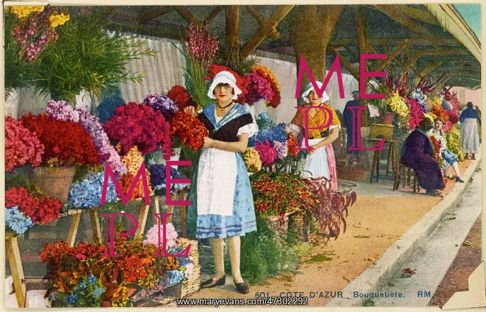 : COTE D'AZUR / FLOWERS : COTE D'AZUR / FLOWERS