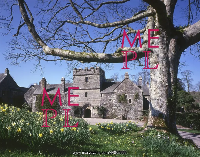 : Cotehele House, Tamar Valley, Cornwall : Cotehele House, Tamar Valley, Cornwall