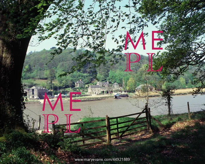 : Cotehele Quay and River Tamar, Cornwall : Cotehele Quay and River Tamar, Cornwall