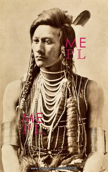 : Cotsiogo, Eastern Shoshone Artist : Cotsiogo, Eastern Shoshone Artist