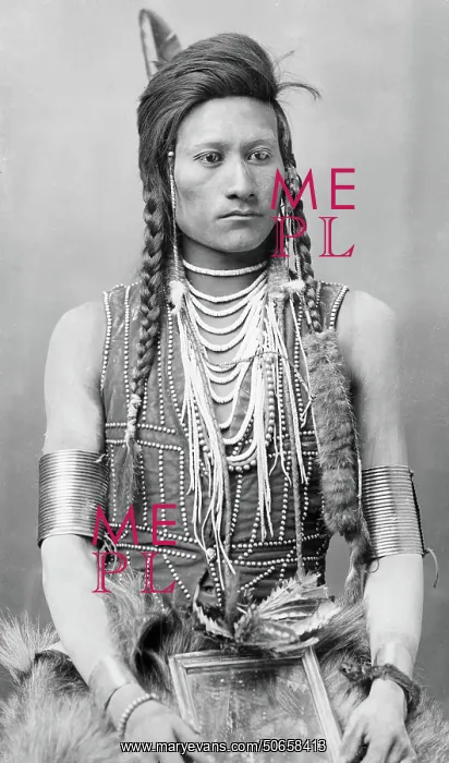 : Cotsiogo, Eastern Shoshone Artist : Cotsiogo, Eastern Shoshone Artist