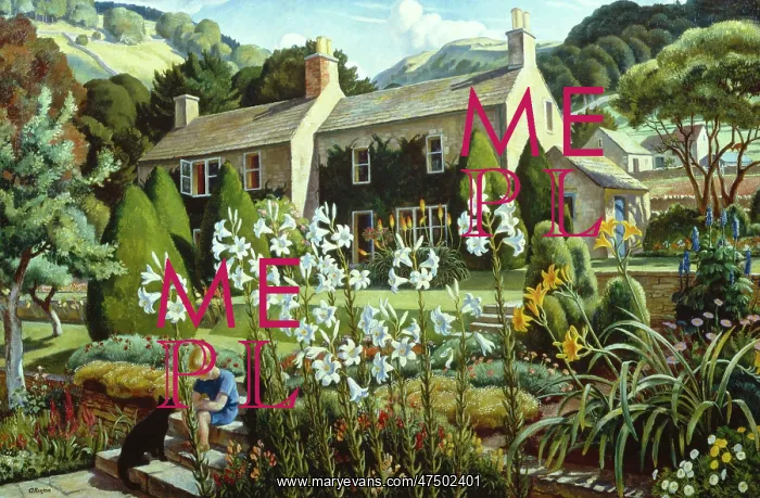 : Cotswold Blooms ' boy and cat in garden : Cotswold Blooms ' boy and cat in garden