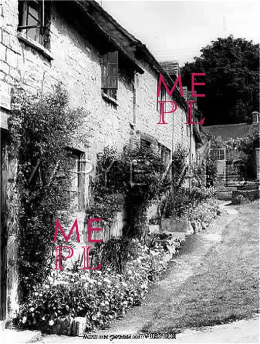 : COTSWOLDS COTTAGES : COTSWOLDS COTTAGES