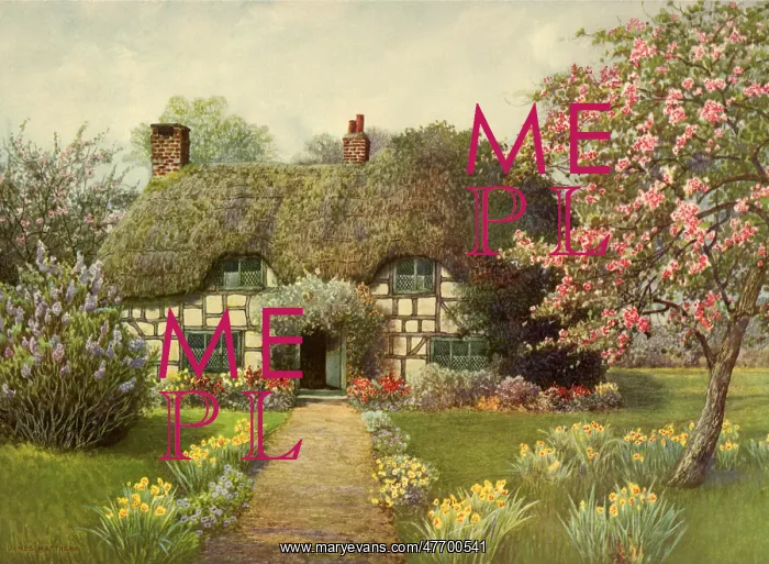  : Cottage