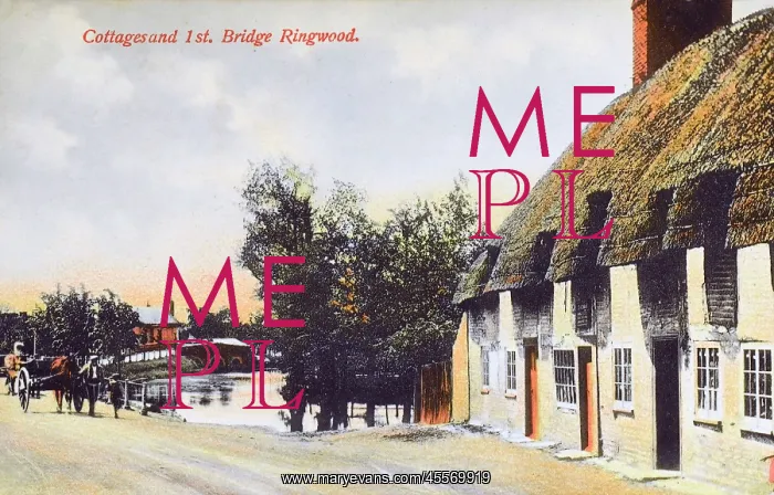 : Cottage and the first bridge - Ringwood, Hampshire