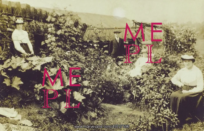 : Cottage Gardening - England : Cottage Gardening - England