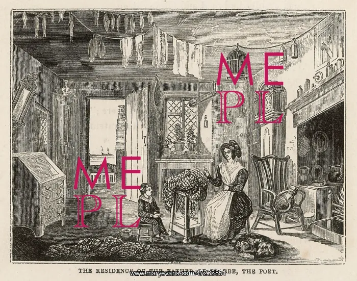 : COTTAGE INTERIOR : COTTAGE INTERIOR