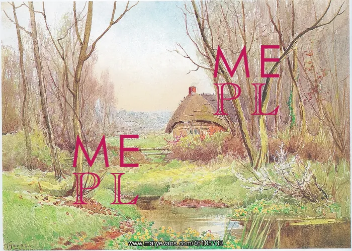  : Cottage and Meadow