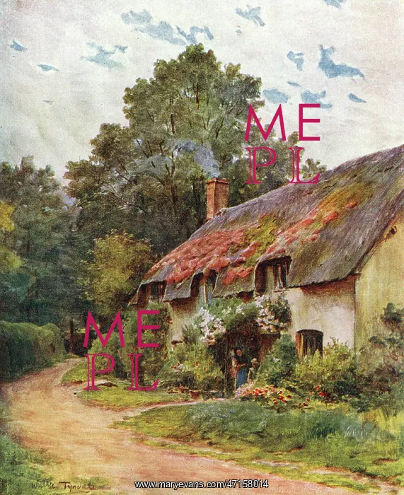  : Cottage Near Dunster