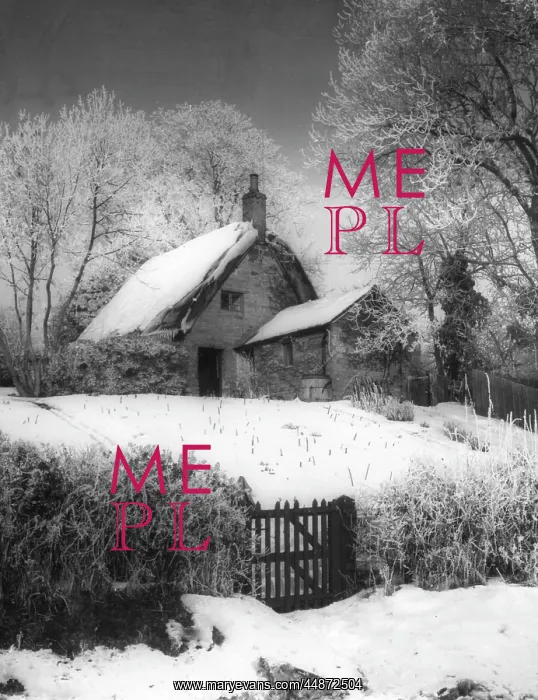 : COTTAGE IN THE SNOW : COTTAGE IN THE SNOW
