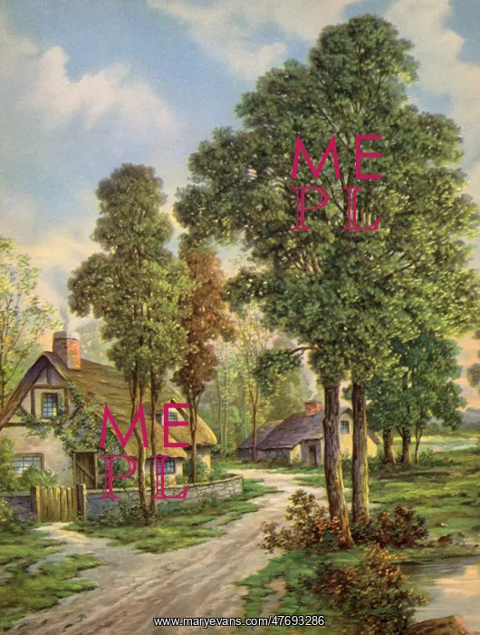  : Cottage and Tall Trees