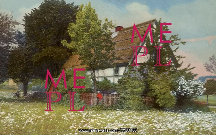  : Cottage with Trees