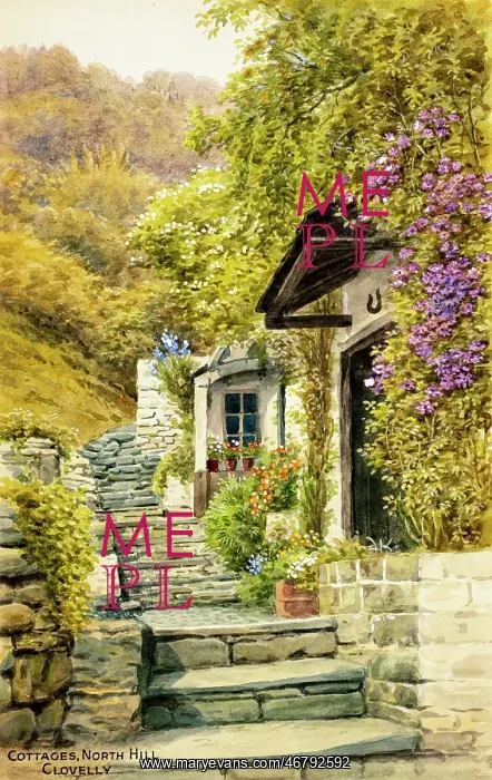 : Cottages, North Hill, Clovelly, Devon : Cottages, North Hill, Clovelly, Devon