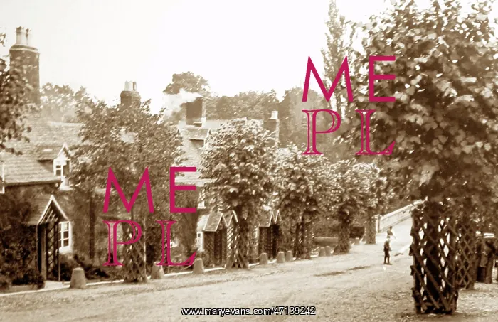  : Cottages, Stow on the Wold, early 1900s