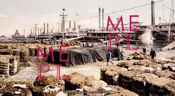: Cotton bales on the levee, New Orleans, ? : Cotton bales on the levee, New Orleans, ?