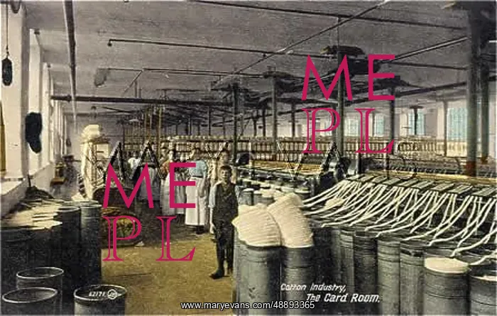: COTTON : CARD ROOM : COTTON : CARD ROOM