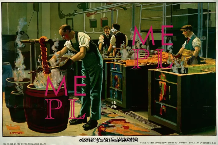  : Cotton Dye Works