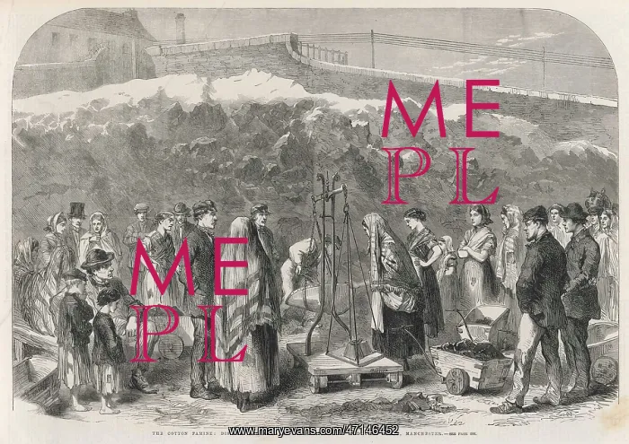 : Cotton famine 1862 : Cotton famine 1862