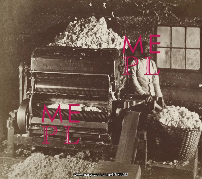 : Cotton Gin, 1870 : Cotton Gin, 1870