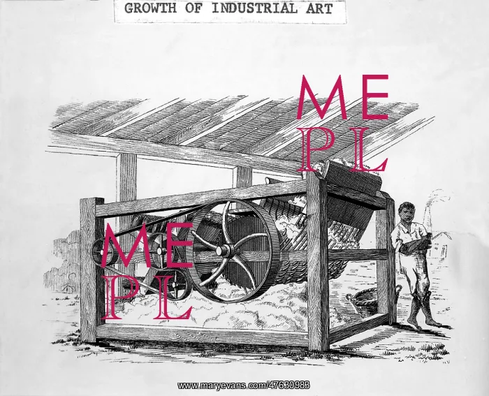 : The Cotton Gin : The Cotton Gin