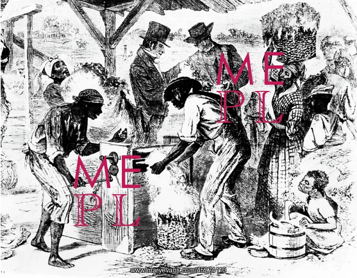 : COTTON GIN-An illustration of a scene on ? : COTTON GIN-An illustration of a scene on ?
