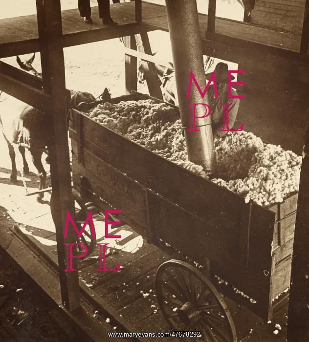 : Cotton Gin Unloading by Pneumatic Suction, c. 1900 : Cotton Gin Unloading by Pneumatic Suction, c. 1900