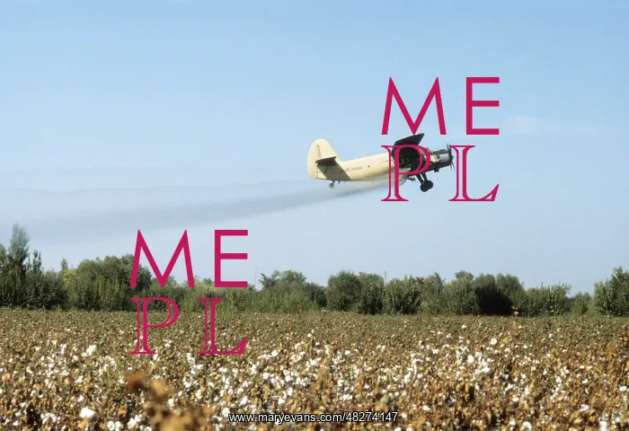 : Cotton harvesting, 1987 : Cotton harvesting, 1987