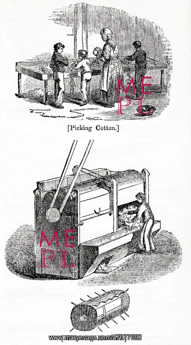 : Cotton industry -- people picking, and willowing machine : Cotton industry -- people picking, and willowing machine