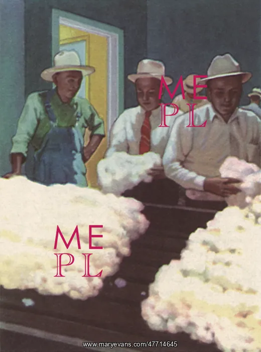  : Cotton Inspectors