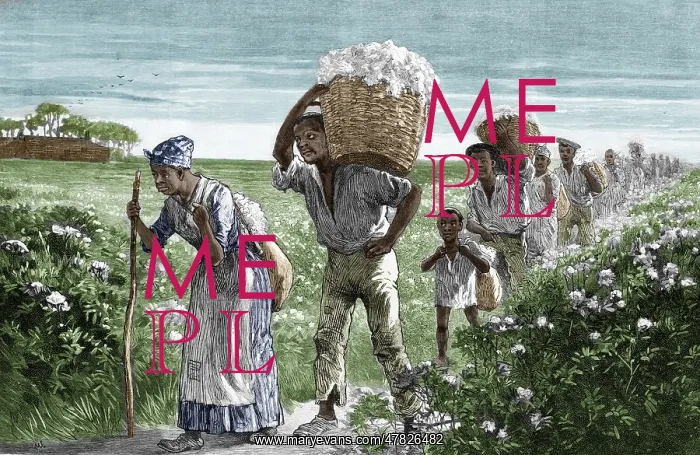 : Cotton Pickers, Alabama, 1887 : Cotton Pickers, Alabama, 1887