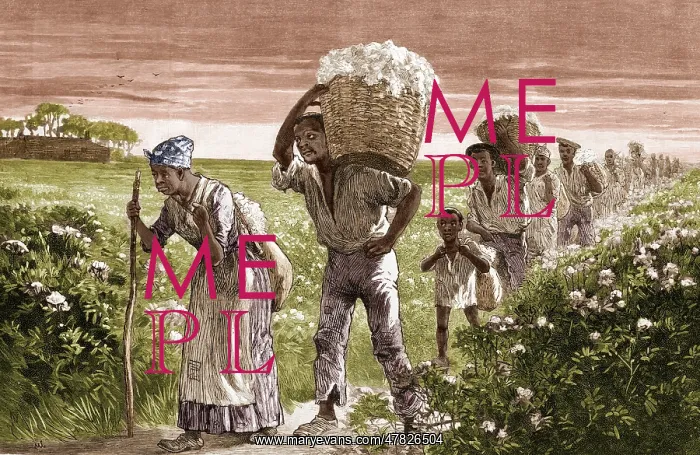  : Cotton Pickers, Alabama, 1887