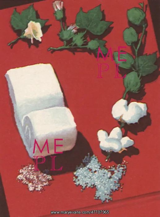  : Cotton Plant and Fabric