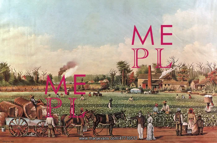 : A Cotton Plantation on the Mississippi : A Cotton Plantation on the Mississippi