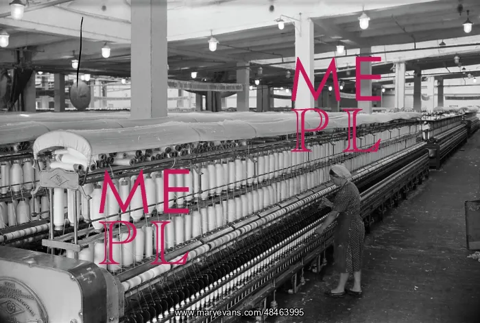 : Cotton spinning factory : Cotton spinning factory