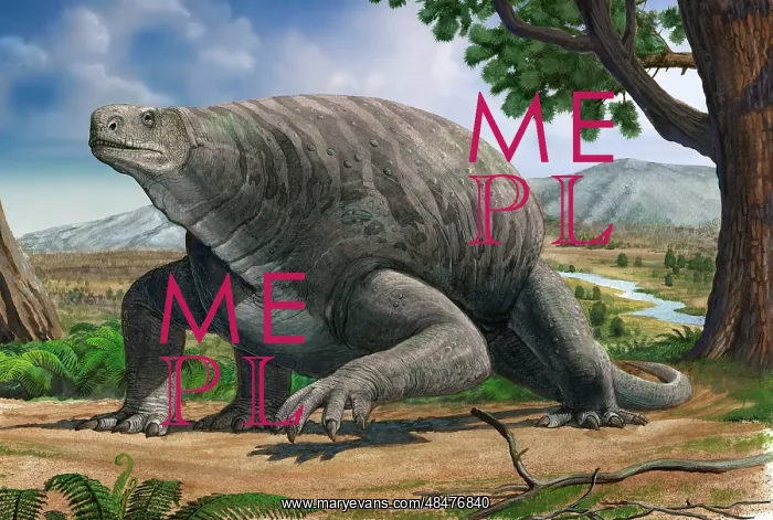 : Cotylorhynchus bransoni, a prehistoric animal from the ? : Cotylorhynchus bransoni, a prehistoric animal from the ?