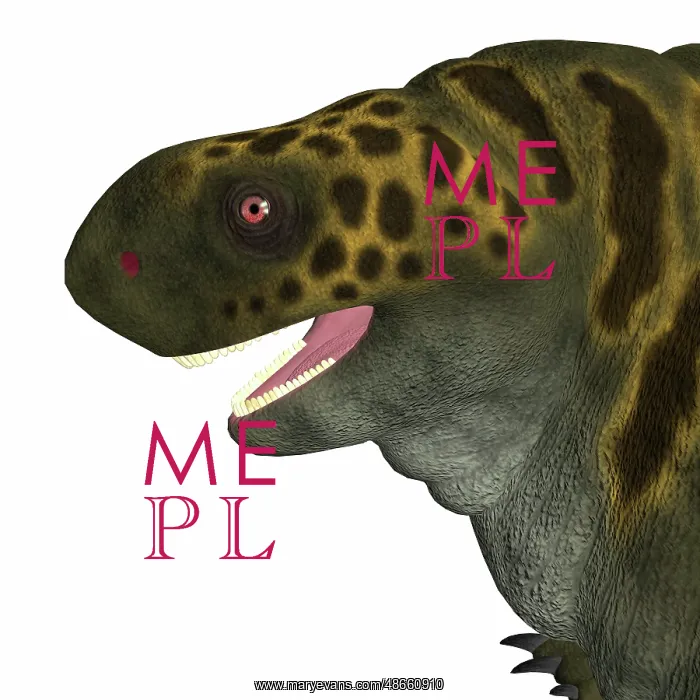 : Cotylorhynchus dinosaur head : Cotylorhynchus dinosaur head