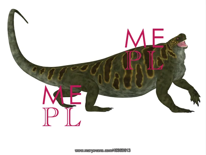 : Cotylorhynchus dinosaur, side profile : Cotylorhynchus dinosaur, side profile