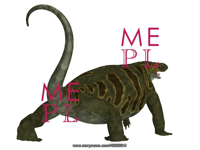 : Cotylorhynchus dinosaur, rear view : Cotylorhynchus dinosaur, rear view