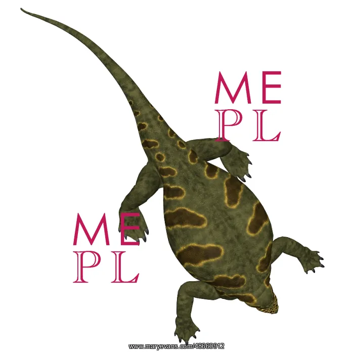 : Cotylorhynchus dinosaur on white background : Cotylorhynchus dinosaur on white background