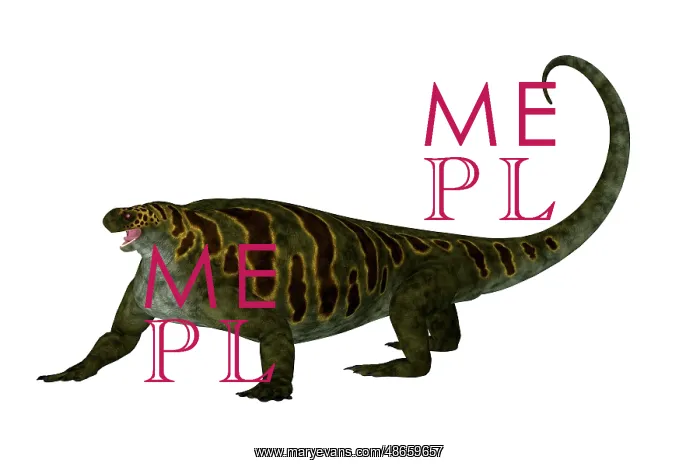 : Cotylorhynchus prehistoric reptile, side view : Cotylorhynchus prehistoric reptile, side view