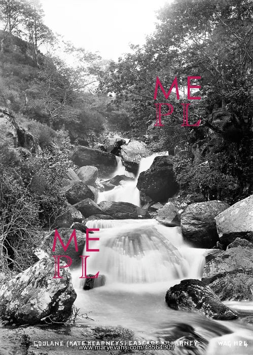 : Coulane(Kate Kearney's) Cascade, Killarney : Coulane(Kate Kearney's) Cascade, Killarney