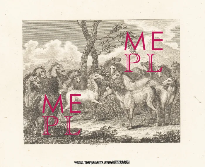 : The Council of Horses : The Council of Horses