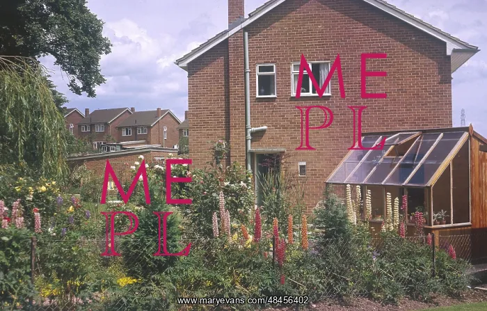 : COUNCIL HOUSE GARDEN : COUNCIL HOUSE GARDEN