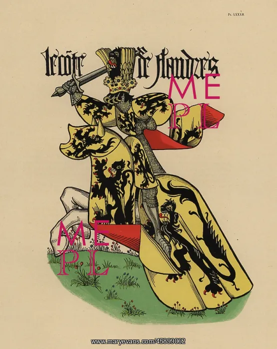 : Count of Flanders, Comte de Flandre : Count of Flanders, Comte de Flandre